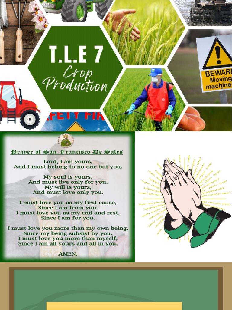 Lesson 1 Tle Seven Use of Farm Tools. PDF Plough Tillage