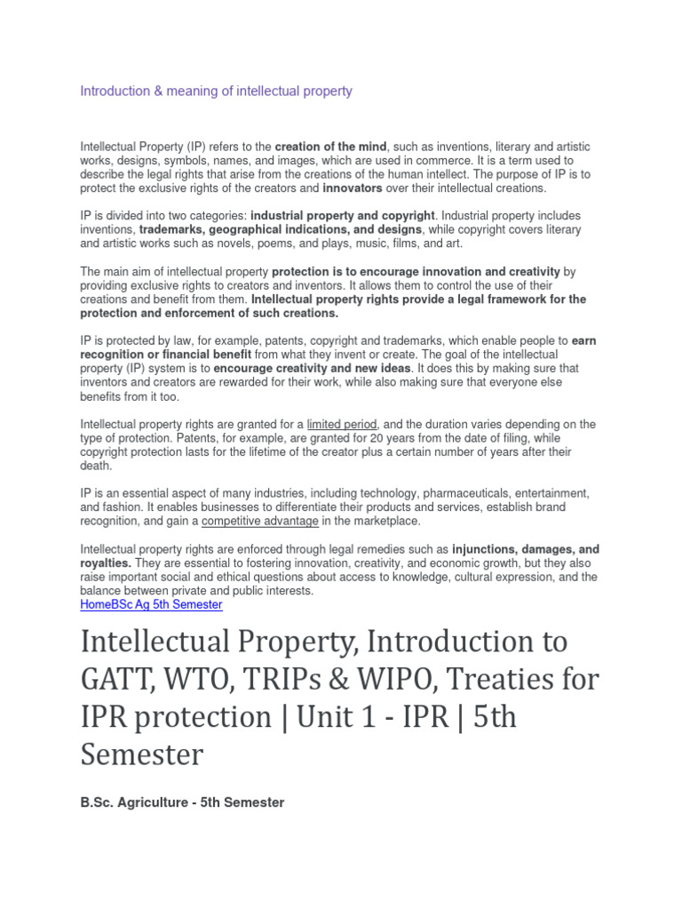 Understanding Intellectual Property Rights | PDF | Patent ...