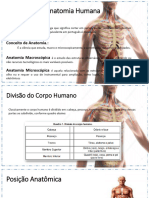 Aula - Introdução à Anatomia e Fisiologia Humana e Sistema Esquelético-2-50