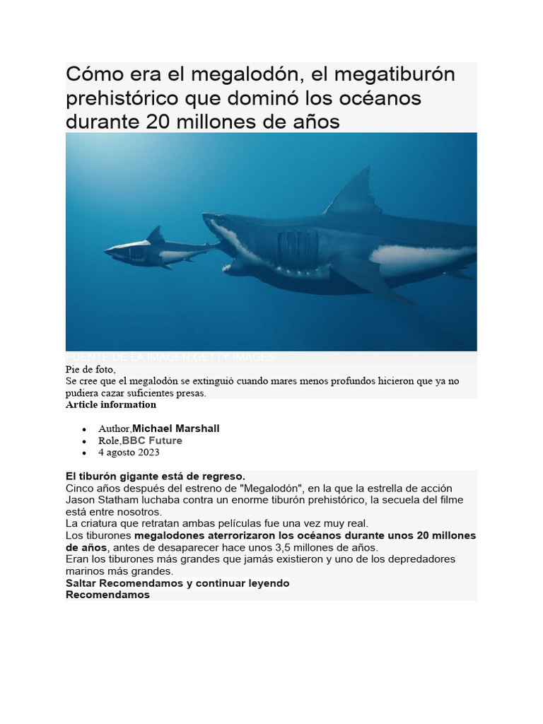 Megalodón | PDF | Gran tiburón blanco | Tiburones, image size:768x1024