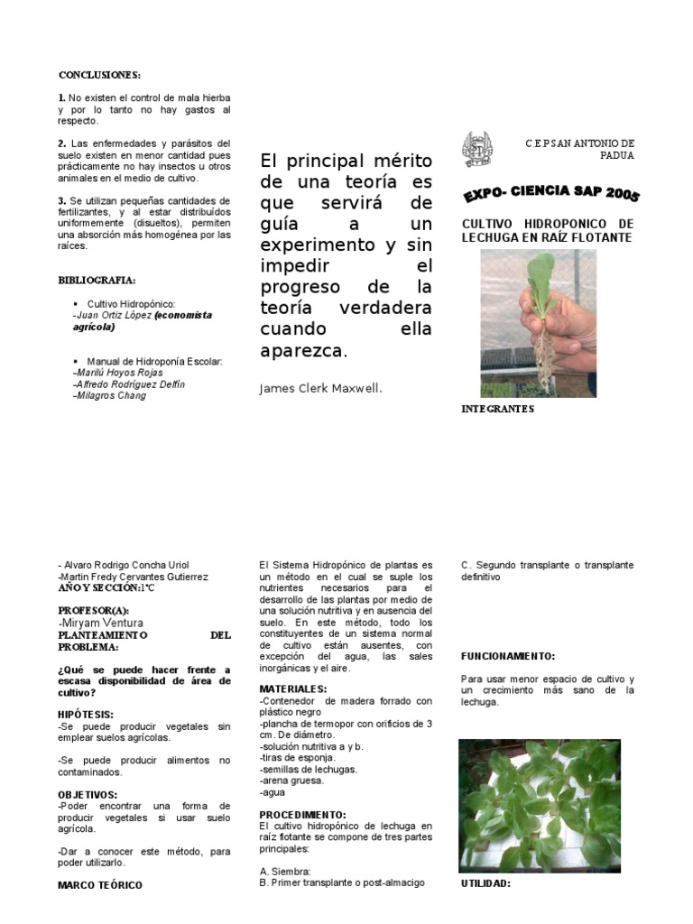 Hidroponia Lechuga Pdf