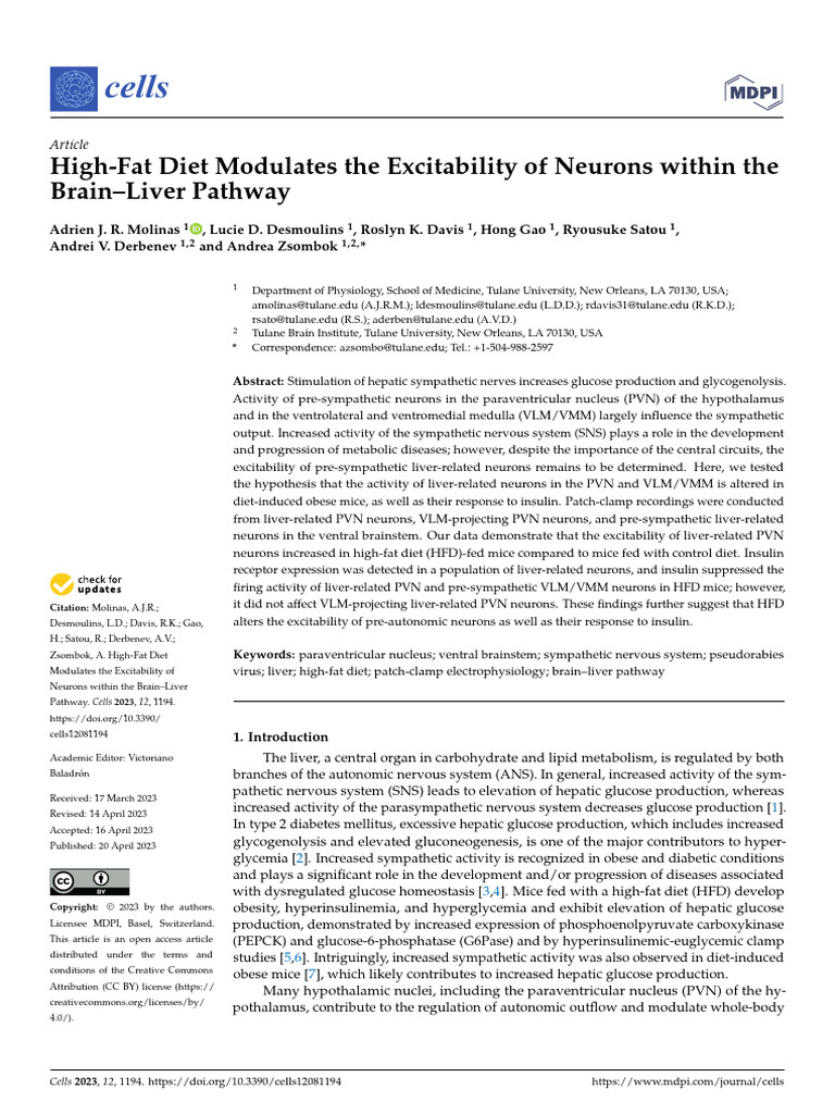 High Fat Diet Modulates The Excitability Of Neuron Pdf Nervous