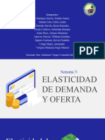 ELASTICIDAD DE DEMANDA Y OFERTA - Economia Semana 3
