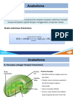 Anabolism e