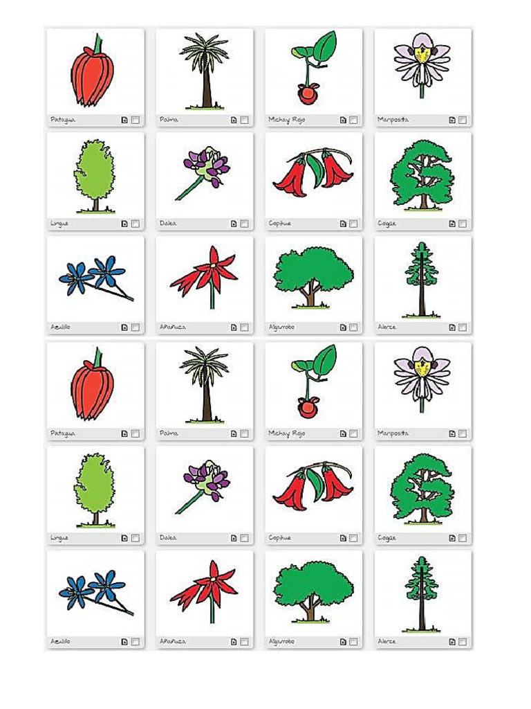 Flora Chilena PDF