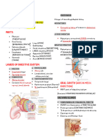 Hes 006 Integumentary System and Digestive System Reviewer (Prelims)