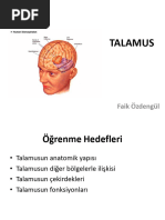 MOCA Test Turkish | PDF