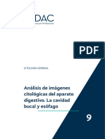 PDF. Citología General. Tema 9