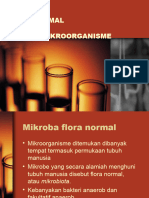 Flora Normal & Habitat Mikroorganisme