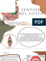 SENTIDO DEL GUSTO, Sami