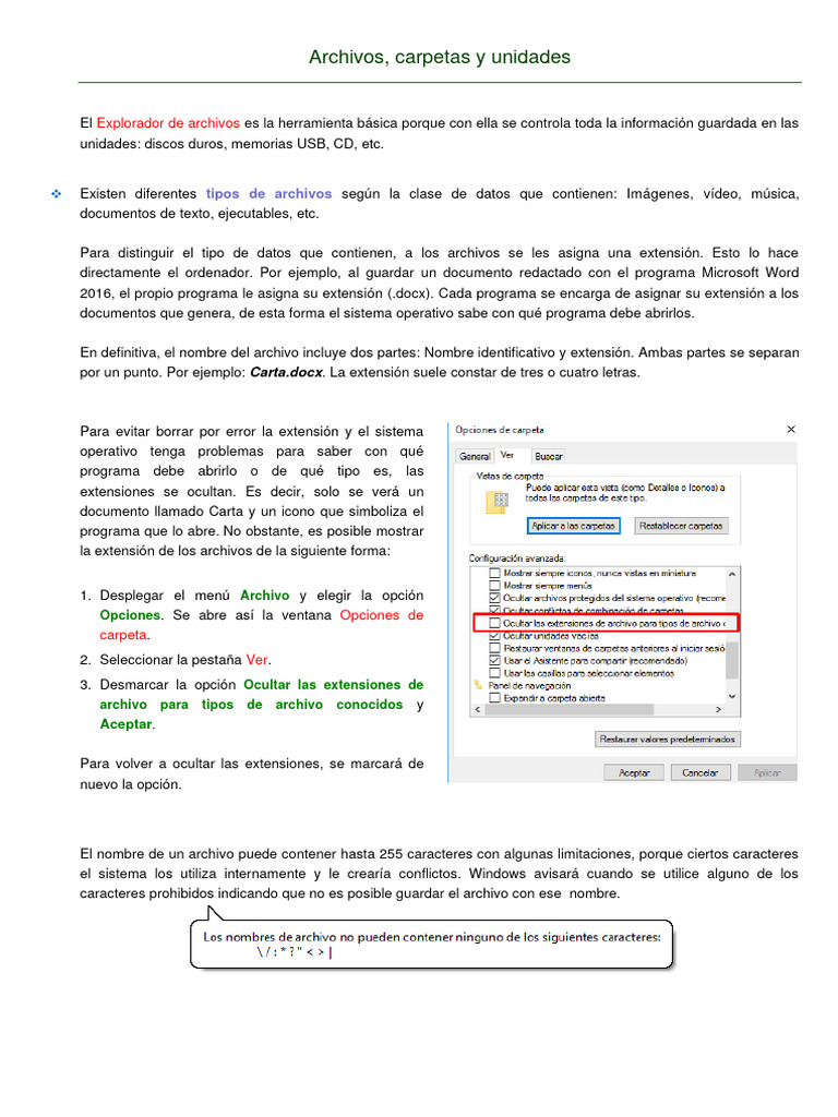 Archivos, Carpetas y Unidades | PDF | Archivo de computadora | Informática