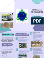 PROJECTE MICROMÓN Definitiu