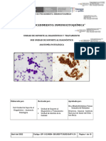 RD #000099-2022-Dg-Insnsb GP Inmunocitoquimica-Anat Patolo.