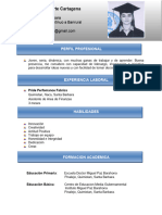 Curriculum Vitae Funcional