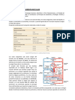 Apuntes Del Sistema Cardiovascular