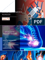 LESIONES OSTEOARTICULARES (FX ESG LUX)