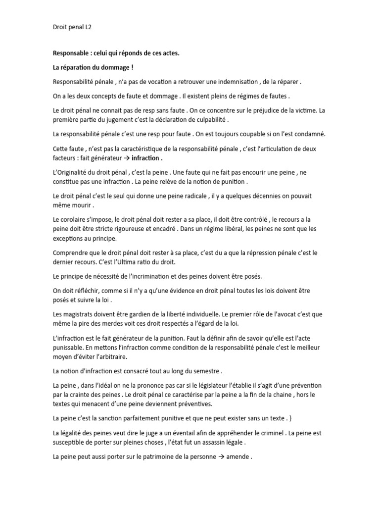 Droit Pénal Général L2 : Concepts Clés | PDF | Loi criminelle | Justice ...