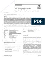 Review - Bioethanol Production From Microalgae Polysaccharides