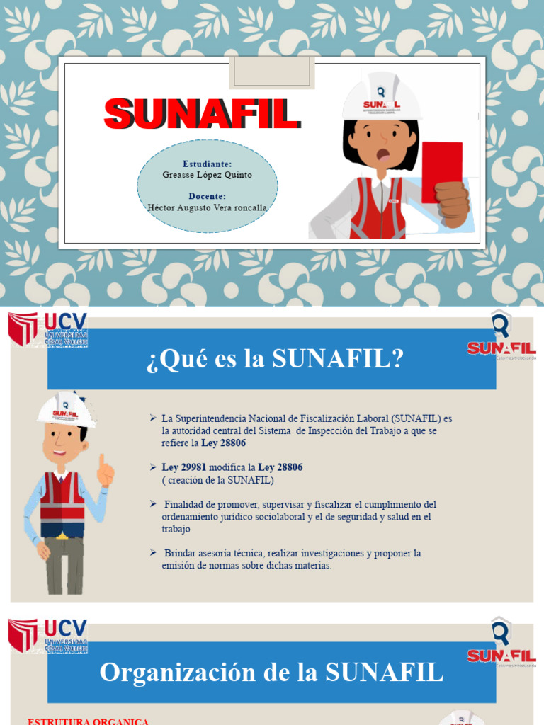 Ley 29981 y funciones de SUNAFIL | PDF