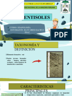 ENTISOLES