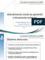 Atendimento Inicial 2014 2 PED