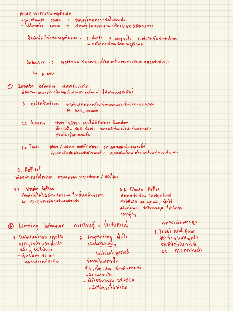 Untitled (Draft) 2 | PDF