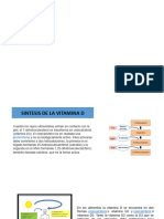 Sintesis de La Vitamina D