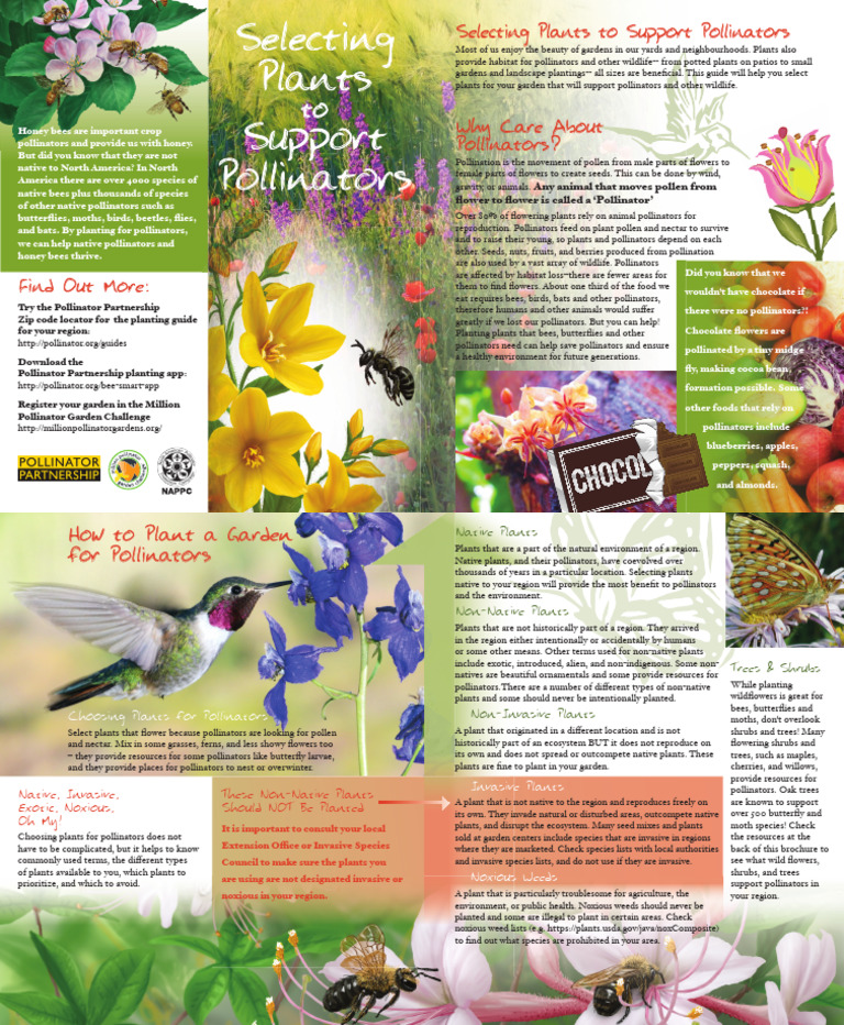 Plants To Help Pollinators 2018 Ver8 PDF Pollination Pollinators