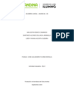 Actividad Evaluativa - Eje 2 - ALGEBRA LINEAL