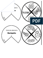 31 08 23 Taller de Ciencias