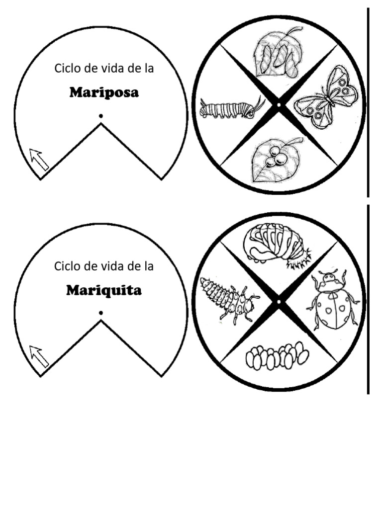 31-08-23-taller-de-ciencias-pdf
