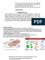 Cell Lecture 3 Pro and Euk Difference