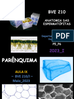 Aula IX - Parênquima 2023 - I