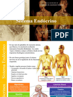 Sistema Endocrino