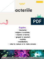 Bacteriile