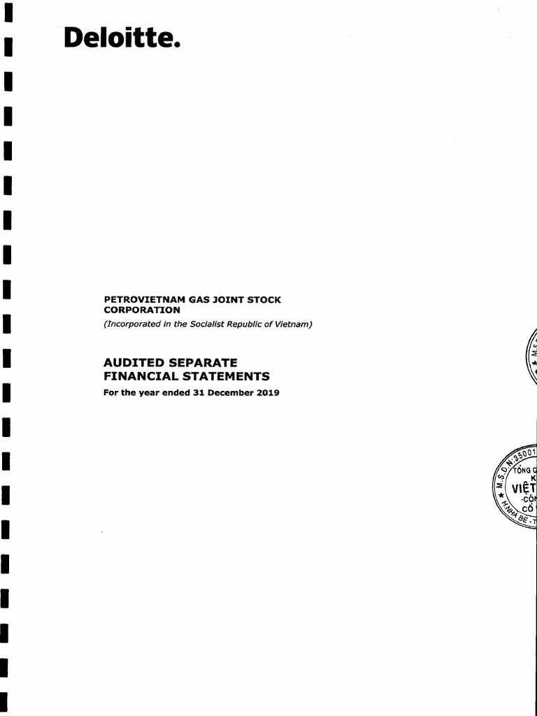 Audited FS 2019 | PDF