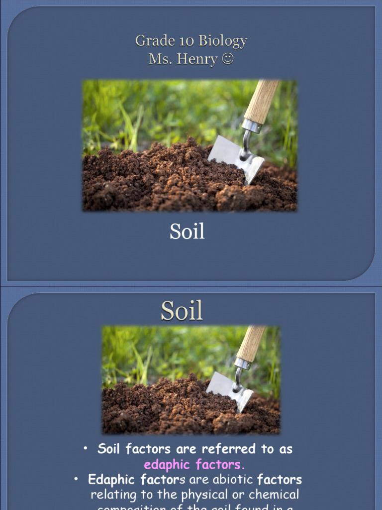 Abiotic Factor - Soil | PDF | Soil | Clay