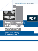 Fundamentals of Aluminium Metallurgy - Hu