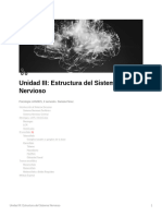 Estructura Del Sistema Nervioso