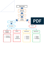 Seres Vivos: Organismo Pluricelulares