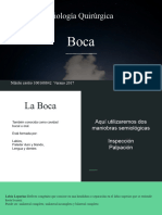 Semiología Medica: Boca