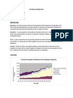 analisis energetico_Argentina