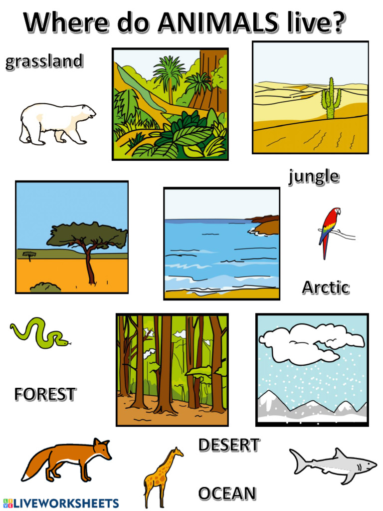 HABITATS | PDF