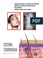 2-Sistema Tegumentar MM