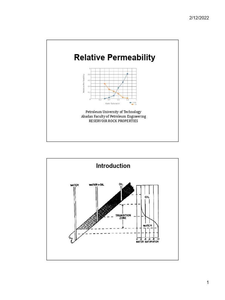 Understanding Relative Permeability in Reservoirs | PDF | Permeability ...