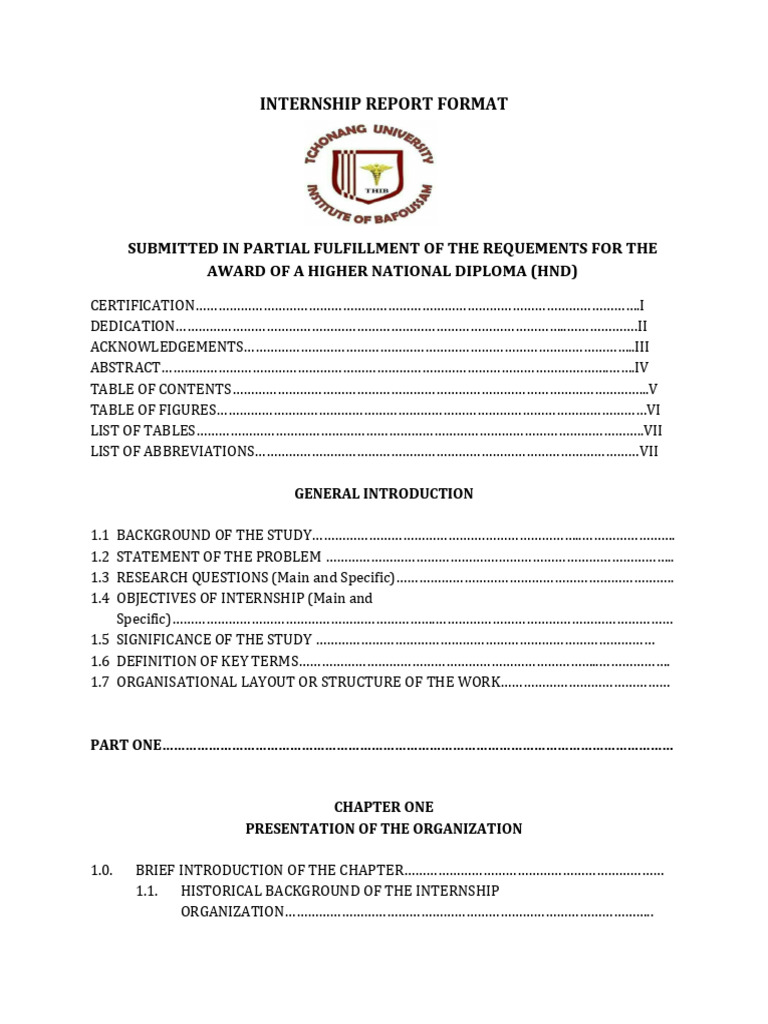 Internship Report Format | PDF | Swot Analysis | Cognitive Science