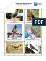 Guía de Identificación de Aves en El Campus Politécnico