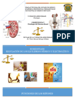 Fisiología Del Sistema Renal.