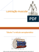 Aula 3 - Sistema Muscular - Contração Muscular