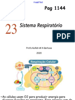 Aula 6 - Sistema Respiratório